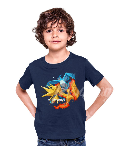 Pokemon-Aves-Legendarias-Region-de-Kanto-boy
